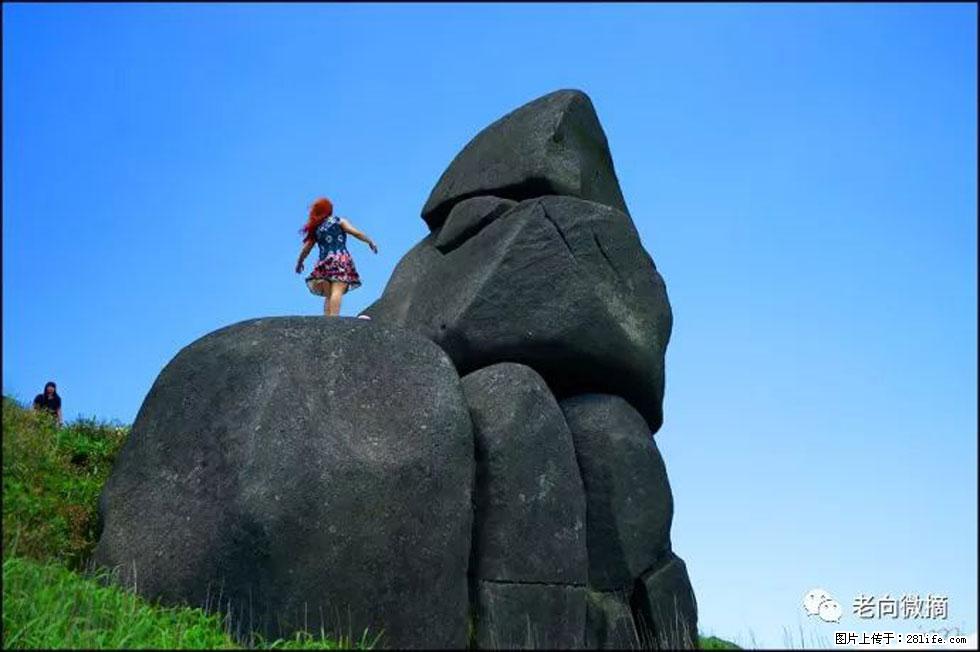 【春天，广西桂林灌阳县向您发出邀请！】宝盖山上映山红 - 游山玩水 - 昌吉生活社区 - 昌吉28生活网 changji.28life.com