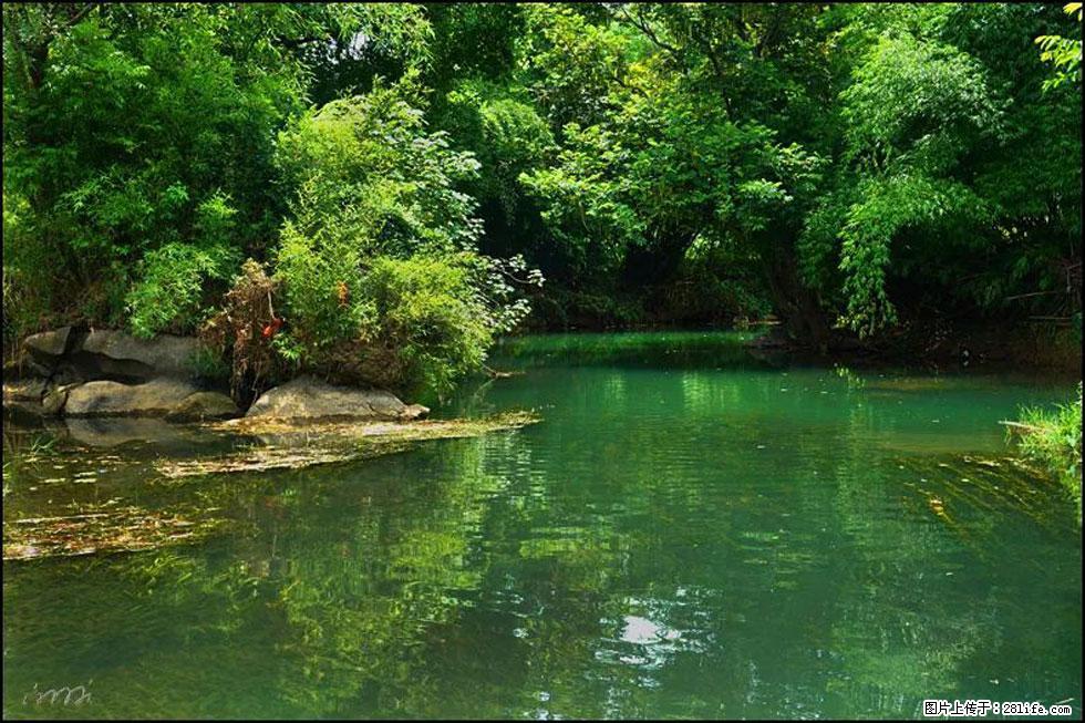 【春天，广西桂林灌阳县向您发出邀请！】如梦似幻莲溪庐 - 游山玩水 - 昌吉生活社区 - 昌吉28生活网 changji.28life.com