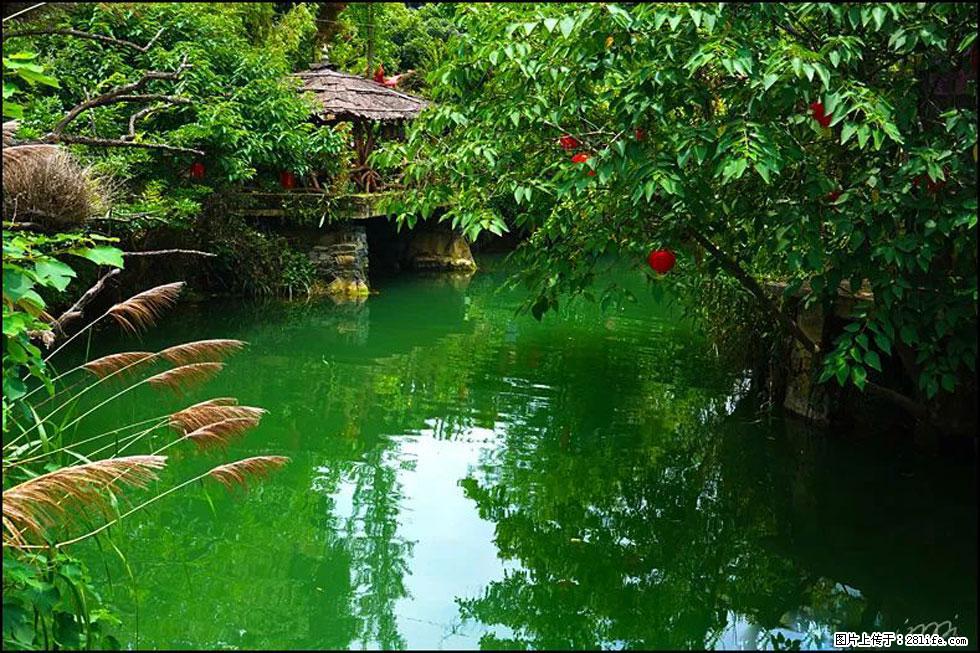 【春天，广西桂林灌阳县向您发出邀请！】如梦似幻莲溪庐 - 游山玩水 - 昌吉生活社区 - 昌吉28生活网 changji.28life.com