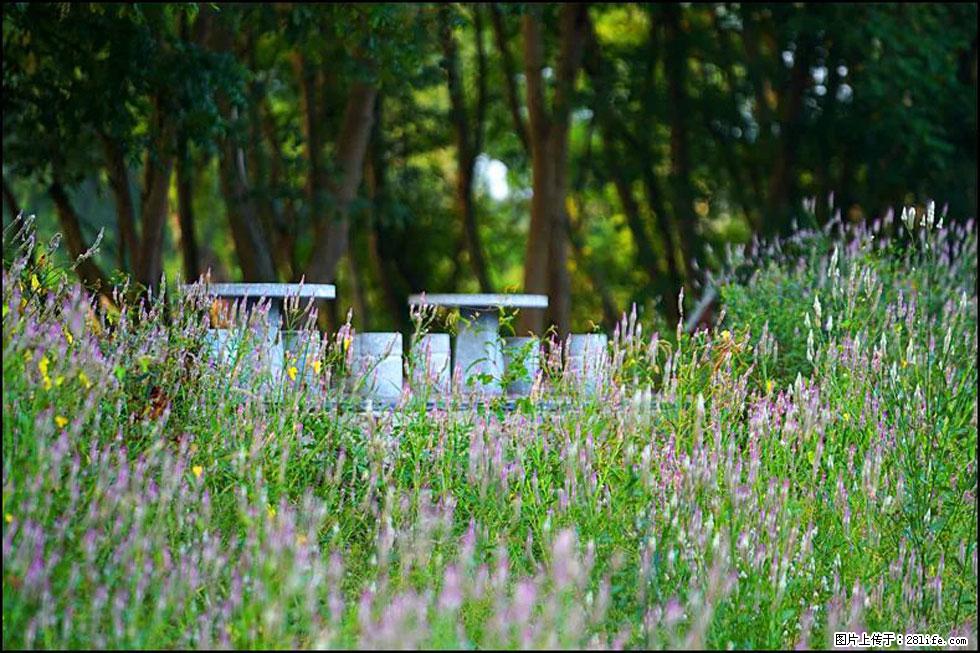 【春天，广西桂林灌阳县向您发出邀请！】熊家寨湿地公园 - 游山玩水 - 昌吉生活社区 - 昌吉28生活网 changji.28life.com