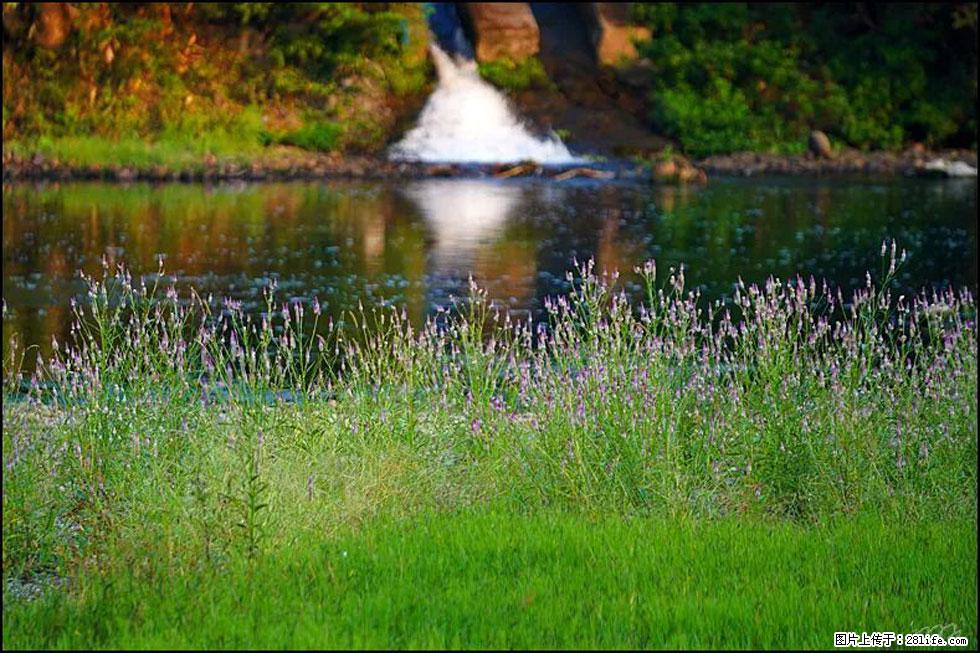 【春天，广西桂林灌阳县向您发出邀请！】熊家寨湿地公园 - 游山玩水 - 昌吉生活社区 - 昌吉28生活网 changji.28life.com