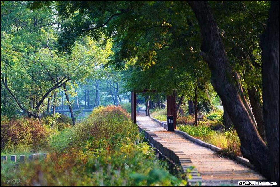 【春天，广西桂林灌阳县向您发出邀请！】熊家寨湿地公园 - 游山玩水 - 昌吉生活社区 - 昌吉28生活网 changji.28life.com