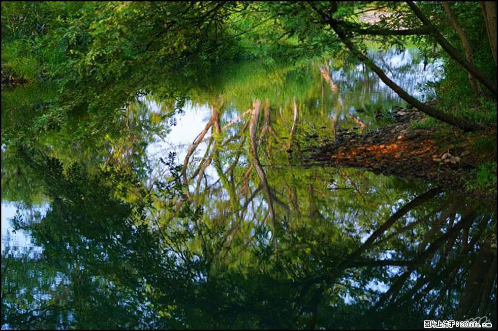 【春天，广西桂林灌阳县向您发出邀请！】熊家寨湿地公园 - 游山玩水 - 昌吉生活社区 - 昌吉28生活网 changji.28life.com