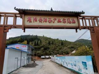 【灌阳县油茶产业示范区】一个有着充实的精神生活的人,对待身外之物自会有一种淡泊的态度 - 昌吉28生活网 changji.28life.com