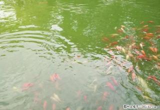 家具齐全,拎包入住,交通便利 - 昌吉28生活网 changji.28life.com