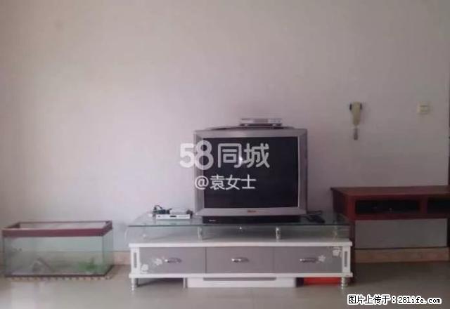 宏鑫家园,单身公寓,基本家具家电。 - 房屋出租 - 房屋租售 - 昌吉分类信息 - 昌吉28生活网 changji.28life.com
