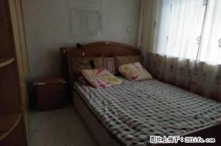 市四中旁 建委家属院 多层三楼 三室两厅 拎包入住 - 昌吉28生活网 changji.28life.com