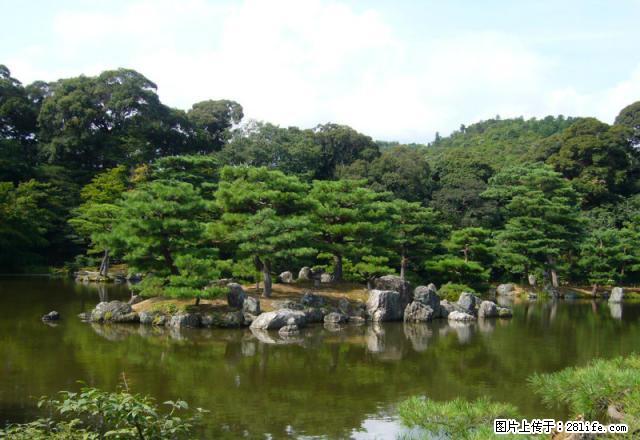 金城雅苑精装修两室家具家电齐全 - 房屋出租 - 房屋租售 - 昌吉分类信息 - 昌吉28生活网 changji.28life.com