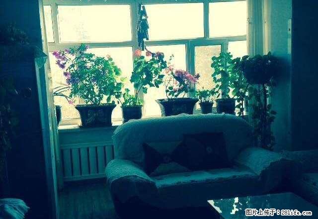 市农机局家属院70平米3楼2室2厅800元每月家具家电齐全 - 房屋出租 - 房屋租售 - 昌吉分类信息 - 昌吉28生活网 changji.28life.com