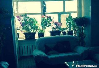 市农机局家属院70平米3楼2室2厅800元每月家具家电齐全 - 昌吉28生活网 changji.28life.com