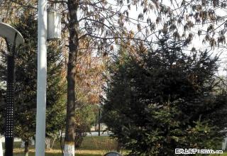 热电家属院多层三楼96平米三室两厅拎包入住750元急租 - 昌吉28生活网 changji.28life.com