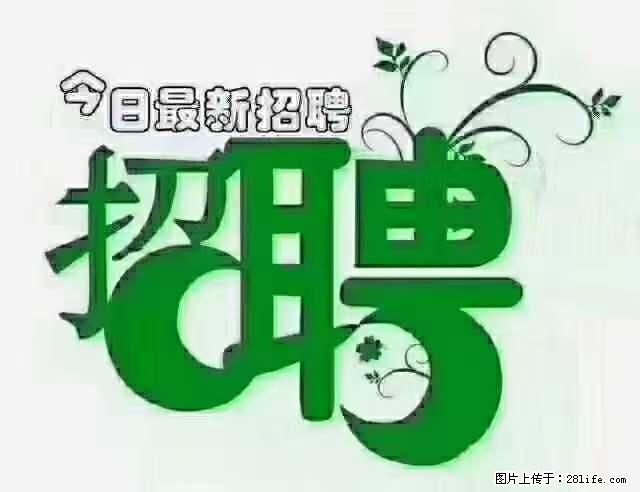 上海青浦区招仓管 - 职场交流 - 昌吉生活社区 - 昌吉28生活网 changji.28life.com