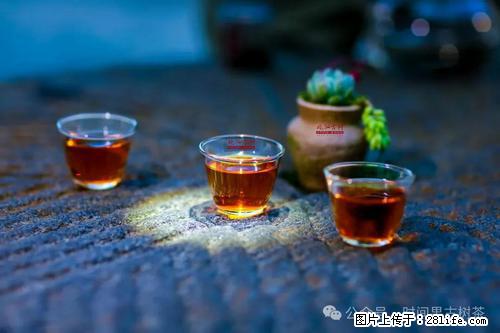 时间果百年古树2025年春红茶 - 购物交流 - 昌吉生活社区 - 昌吉28生活网 changji.28life.com