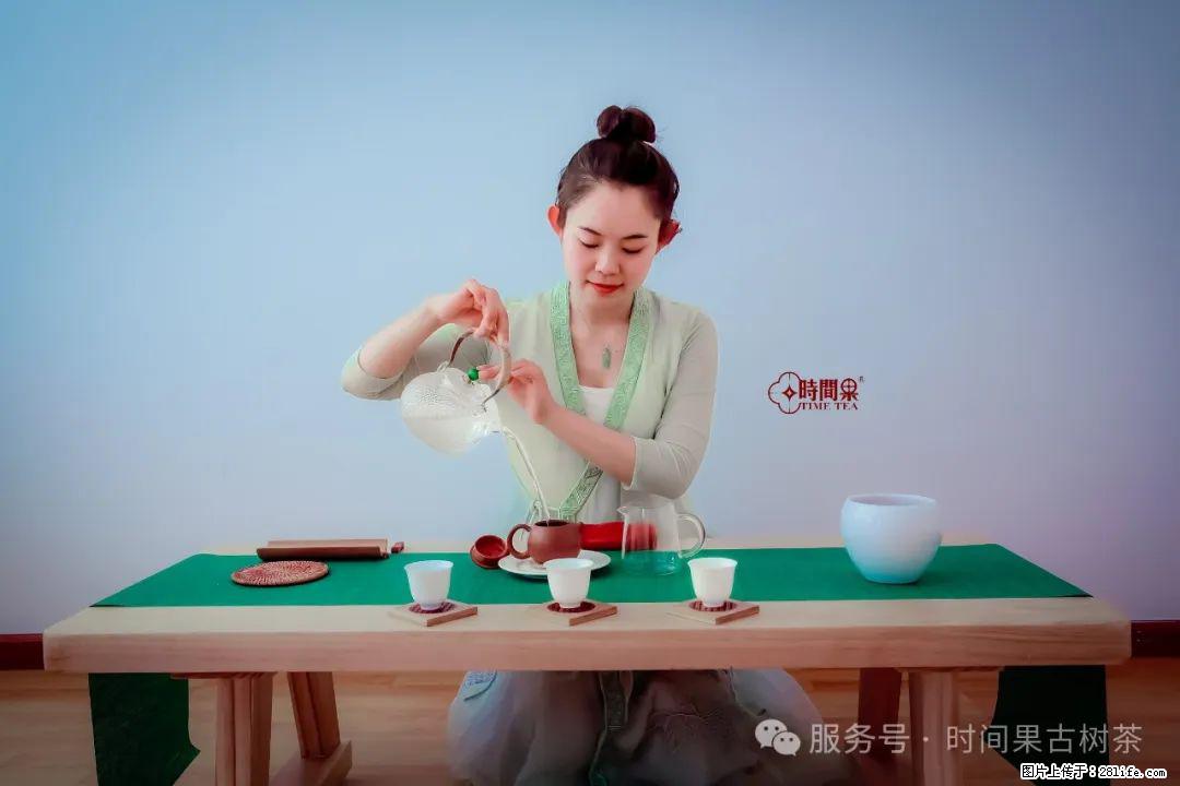 时间果百年古树龙珠普洱生茶 - 购物交流 - 昌吉生活社区 - 昌吉28生活网 changji.28life.com