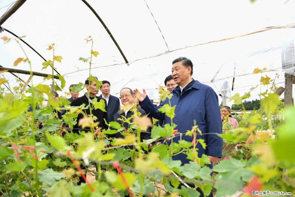 习近平赴广西考察调研 - 昌吉生活资讯 - 昌吉28生活网 changji.28life.com