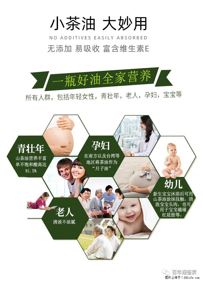 世界没有真相,只有认知,最好的食用油是中国的山茶油! - 昌吉生活资讯 - 昌吉28生活网 changji.28life.com