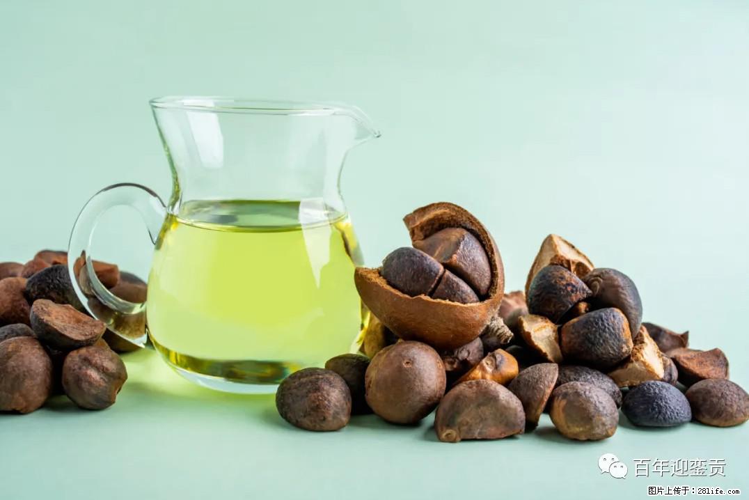 世界没有真相，只有认知，最好的食用油是中国的山茶油！ - 昌吉生活资讯 - 昌吉28生活网 changji.28life.com