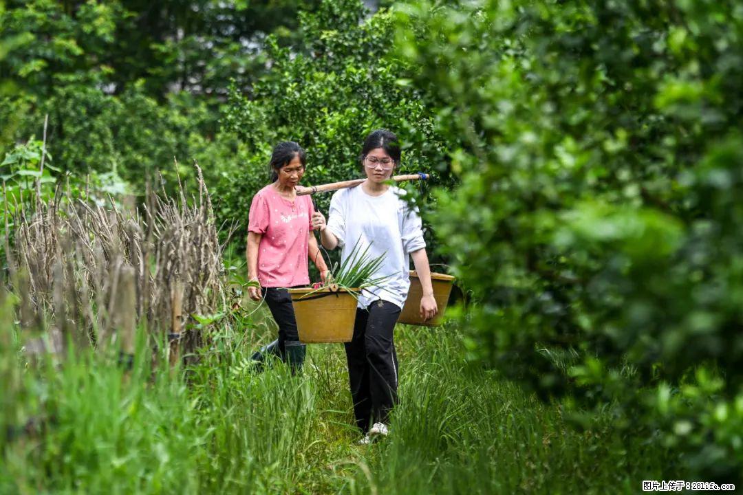 全网追的“扁担女孩”，找了一份暑假工，时薪12元 - 昌吉生活资讯 - 昌吉28生活网 changji.28life.com