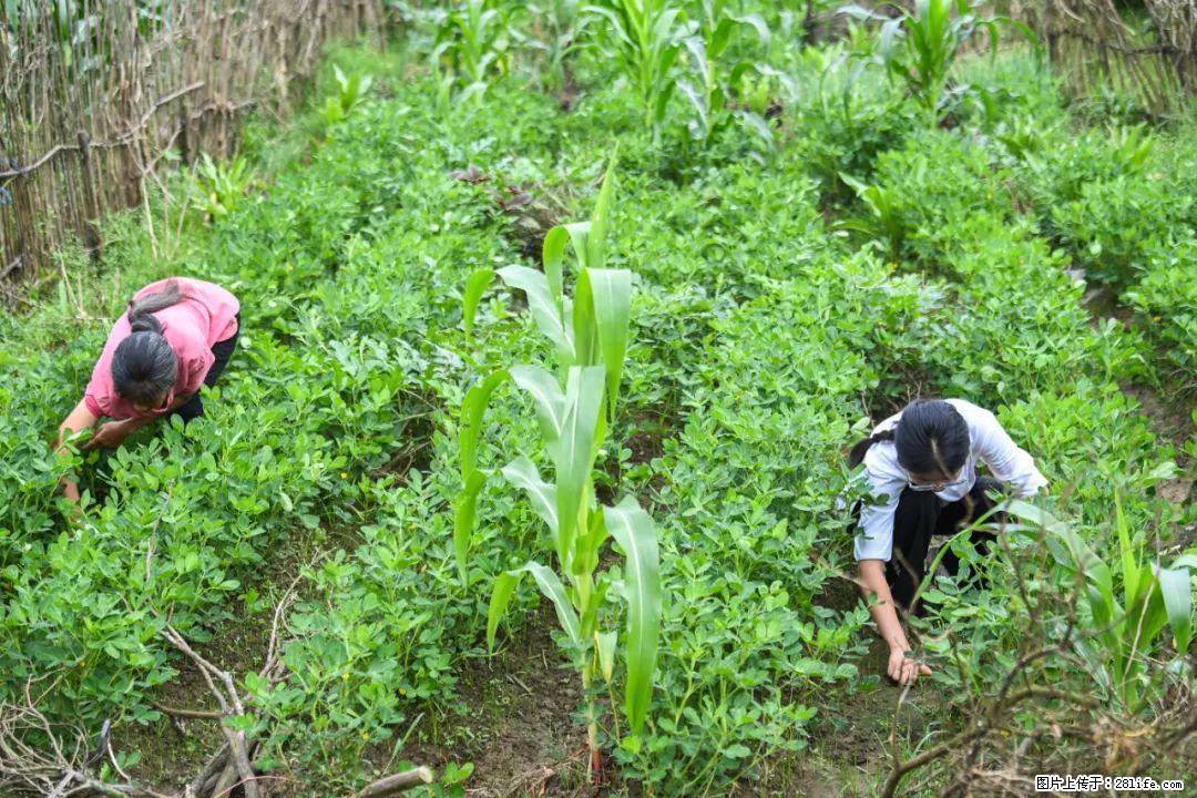 全网追的“扁担女孩”，找了一份暑假工，时薪12元 - 昌吉生活资讯 - 昌吉28生活网 changji.28life.com