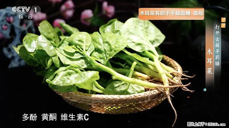 比牛奶补钙还厉害！凉血解毒、稳血糖...这菜冬天必吃，很多人却当草 - 昌吉生活资讯 - 昌吉28生活网 changji.28life.com