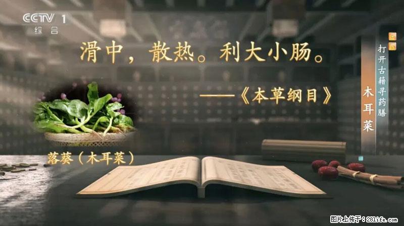 比牛奶补钙还厉害！凉血解毒、稳血糖...这菜冬天必吃，很多人却当草 - 昌吉生活资讯 - 昌吉28生活网 changji.28life.com