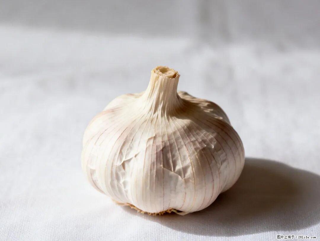 关于大蒜，除了“天然抗生素”，这4个谣言更该警惕! - 昌吉生活资讯 - 昌吉28生活网 changji.28life.com