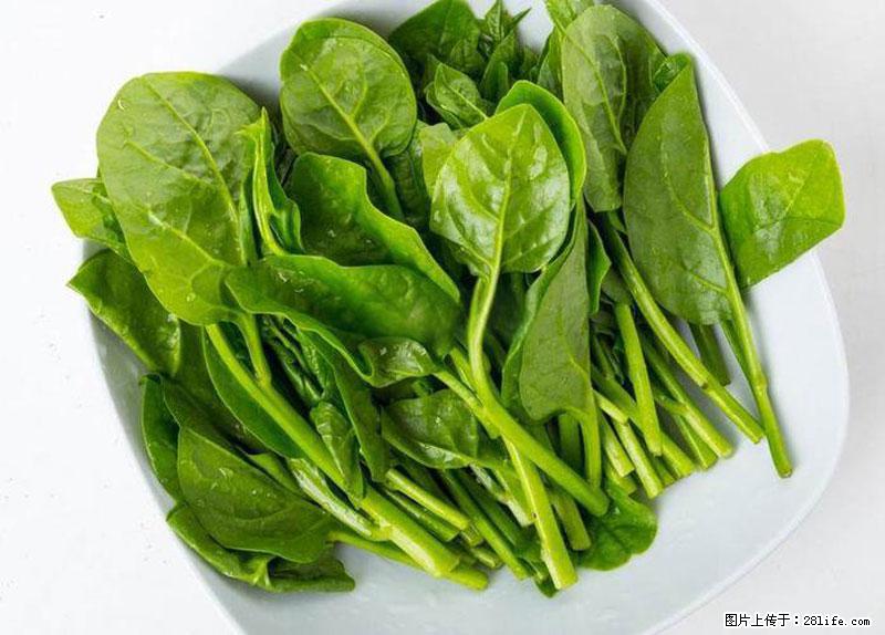 这些蔬菜是“天然钙片”，这6种被医生重点推荐 - 昌吉生活资讯 - 昌吉28生活网 changji.28life.com