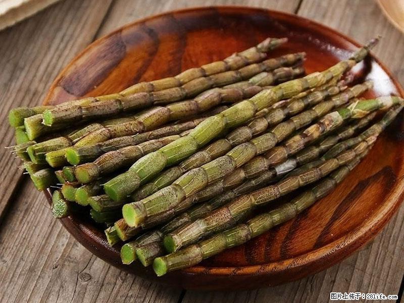 铁皮石斛的作用与功能主治 - 昌吉生活资讯 - 昌吉28生活网 changji.28life.com