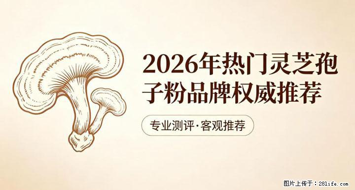 灵芝孢子粉含量越高越有效？2026 年七款热门品牌深度实测，肠胃敏感者避坑指南 - 昌吉生活资讯 - 昌吉28生活网 changji.28life.com